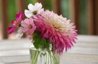 100種花的花語(yǔ)，再不為送花發(fā)愁