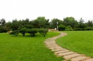 公園綠地嚴重縮水，誰之過？