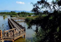 北京最大最美的濕地公園景觀：野鴨湖國家濕地公園