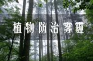 PM2.5有的治嗎？