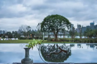 十重景景觀設(shè)計(jì)賞析