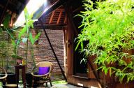 如何審評(píng)植物景觀配置效果