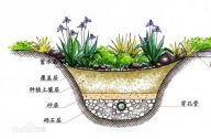 什么是雨水花園？雨水花園和普通花園有什么區(qū)別？