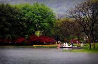 傳統(tǒng)園林設計方案：太子灣公園景觀設計