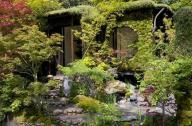 庭院植物主景如何設(shè)計(jì)？