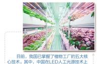 “植物工廠”到底有什么秘密？